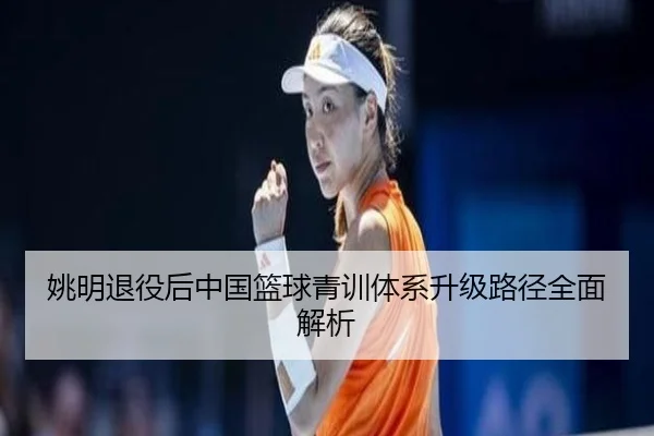 姚明退役后中国篮球青训体系升级路径全面解析