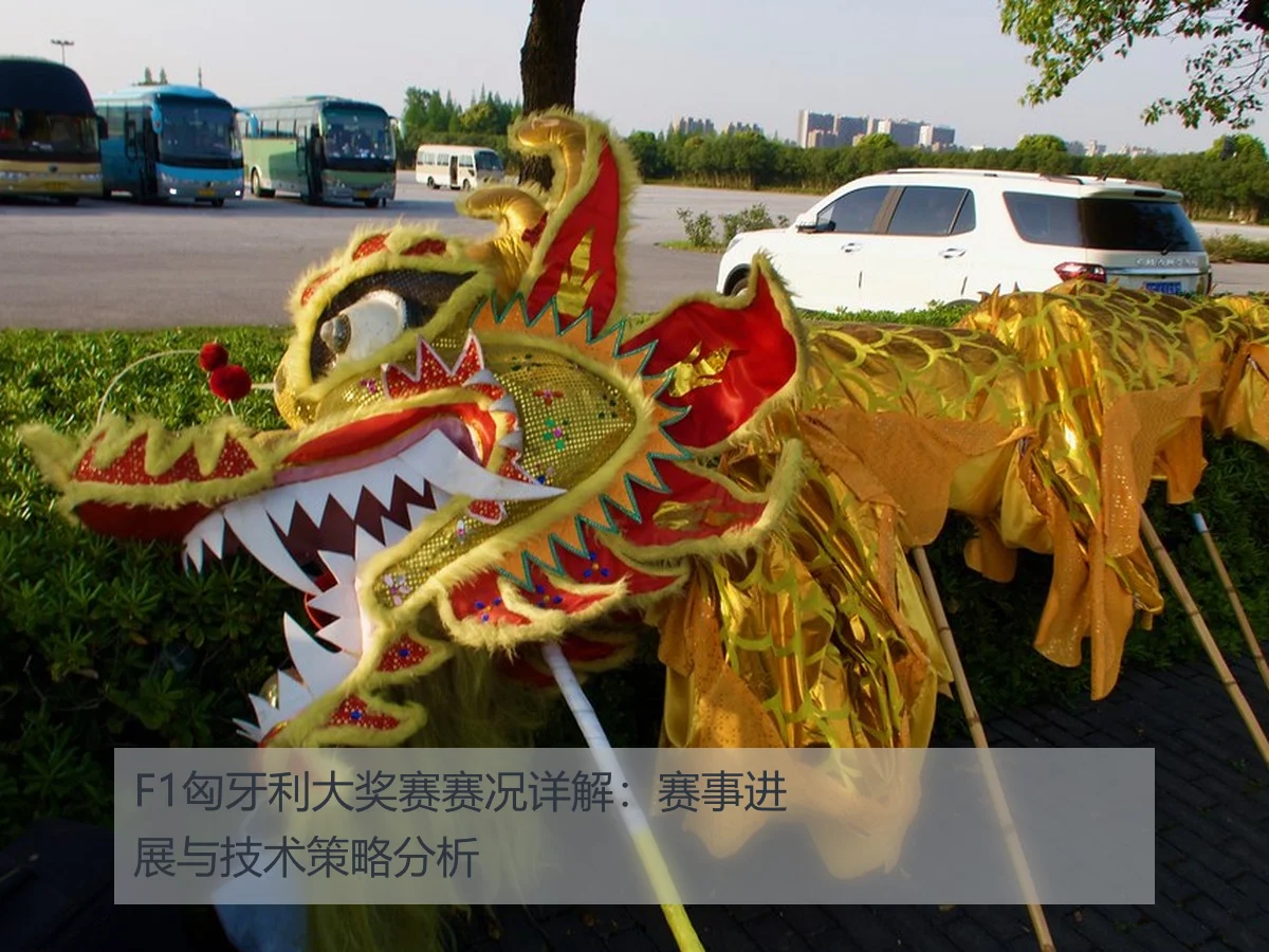 F1匈牙利大奖赛赛况详解：赛事进展与技术策略分析